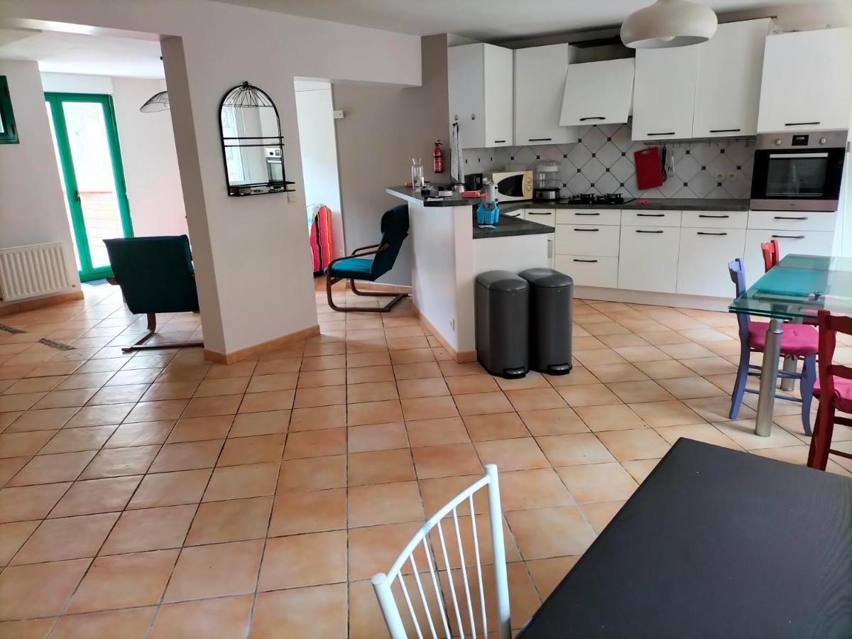 Appartement Au Centre Ville Avec Un Beau Jardin Prive Ланьон Екстериор снимка